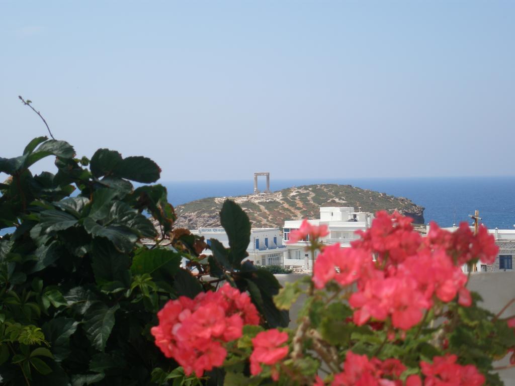 Chateau Zevgoli Naxos City Kültér fotó